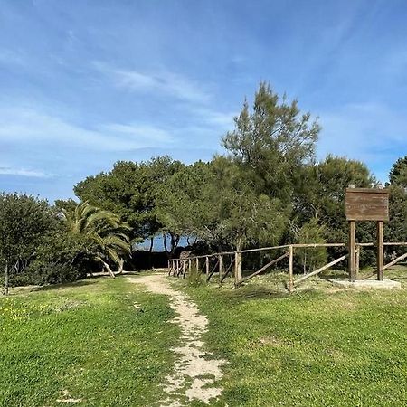Appartamento La Tramontana Porto Torres Eksteriør billede